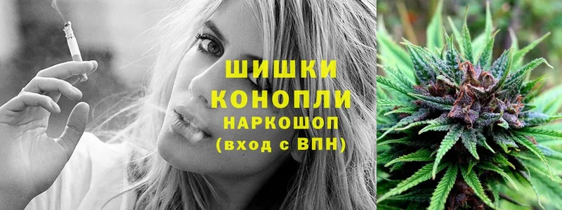 как найти   Злынка  Марихуана Ganja 